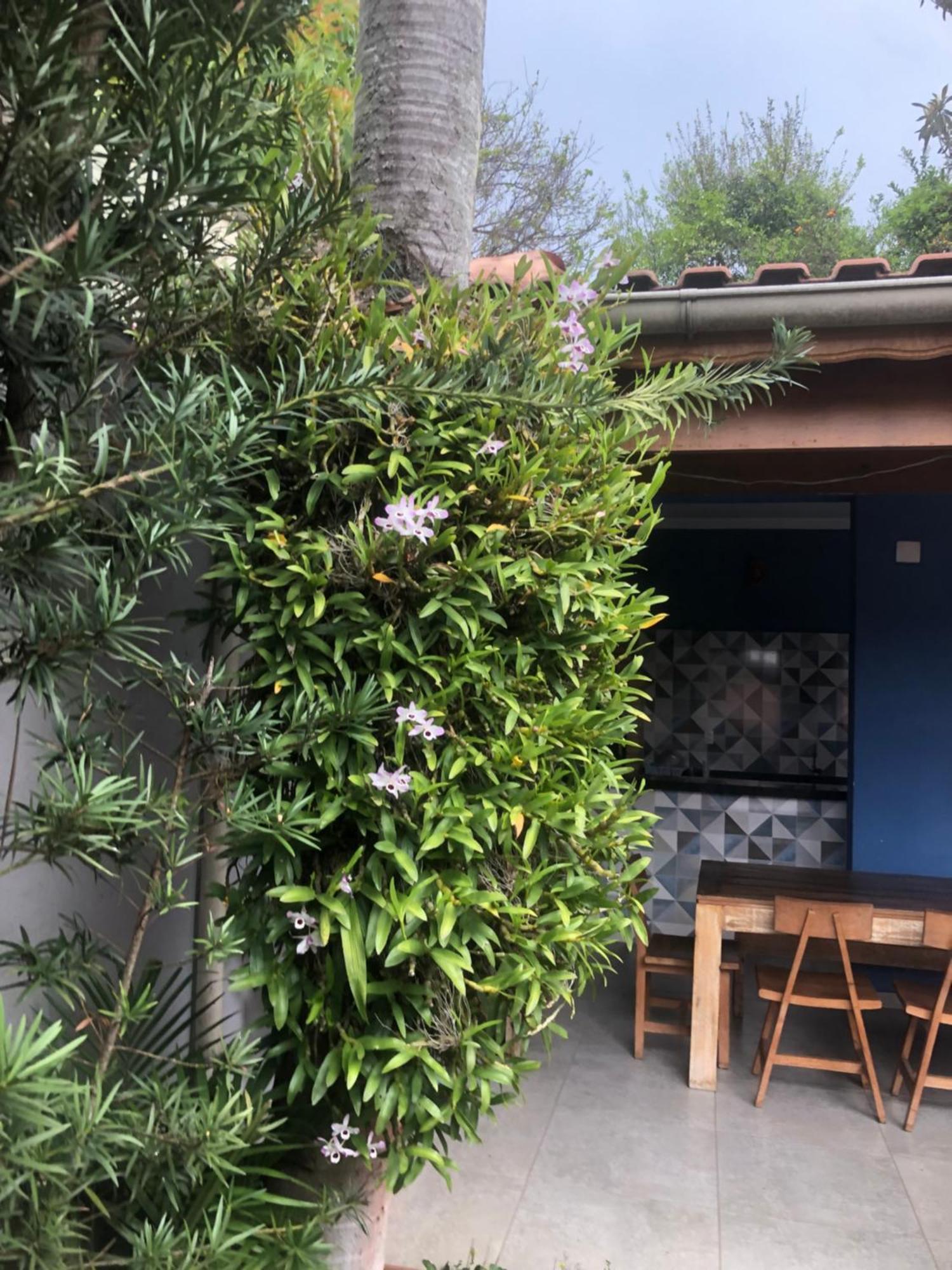 Hostel Martina, Suite 100M Spexpo 상파울루 외부 사진
